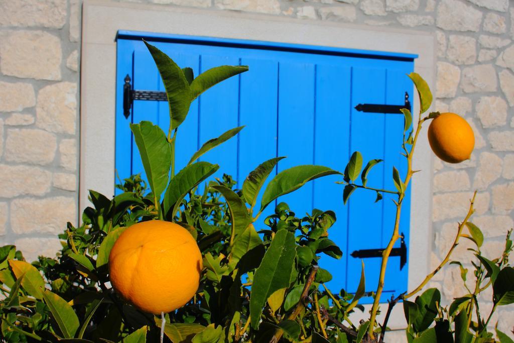 Holiday Home Olea - Sun, Sea, Sport & Comfort Splitska Εξωτερικό φωτογραφία